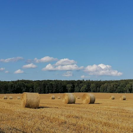 Ferienwohnung Fernblick Осдорф Экстерьер фото